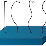 Onderzoek van de wervelkolom