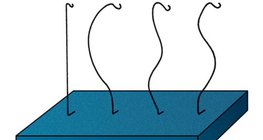 Untersuchung der Wirbelsäule