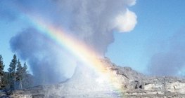 Geysir im Yellowstone-Nationalpark