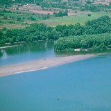 Récif (banc) dans le Danube