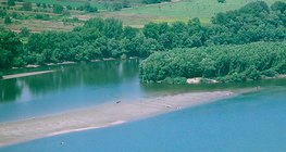 Récif (banc) dans le Danube