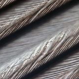 Structure fine d'une plume d'oiseau, avec barbules emboitées