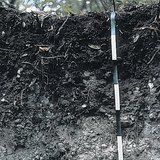 Doorsnede van een laag krijtvaaggronden