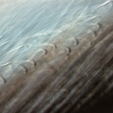 Fijne structuur van een vogelveer met in elkaar grijpende baarden