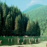 Lac Rouge (Roumanie)