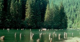 Lac Rouge (Roumanie)