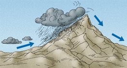 Bei den windigen Seiten der Berge herrscht immer ein feuchteres Klima