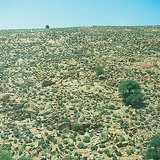 Stony desert