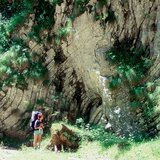 Fold rock layers