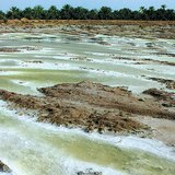 Lits de sels formés après l'évaporation de lacs périodiques
