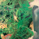 Satellietbeeld van de Donaudelta