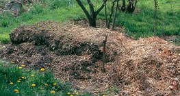 Compost