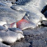 Lave en solidification