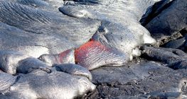 Lave en solidification