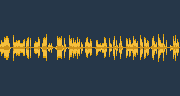 Mes repas de la journée