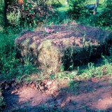Composting