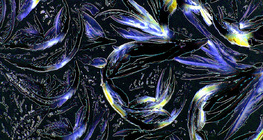 Cristaux de glycine (acide aminé)