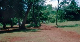 Tropischer Lateritboden in Mexiko