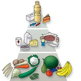 Élelmiszer-piramis
