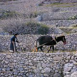 Landbouw in mediterrane gebieden