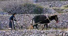 Agriculture dans les zones méditerranéennes