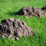 Molehills