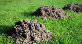 Maulwurfshügel