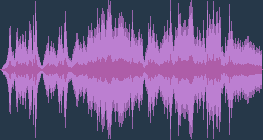 Elgar: Enigma-Variationen