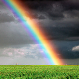 Regenboog