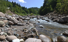 Amont d'une rivière