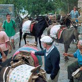 'Taxistandplaats' op het eiland Rhodos