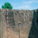 Schicht der Schwarzerde