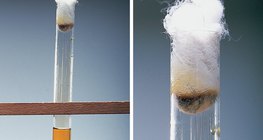 Reaktion von Bromwasser mit Kaliumiodid