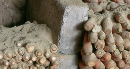 Lagerung von Wurzelgemüse