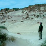 Zandduinen aan de Baltische kust