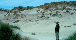 Dunes de sable sur la Mer Baltique