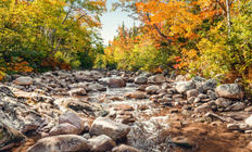 Cours d'eau de montagne