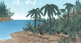 Die Flora der Jurazeit