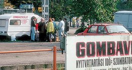 Gombavizsgáló