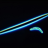 Spons sclerieten - microscleren en megascleren (Zoetwaterspons)