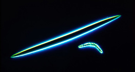 Spicules d'éponge - microsclères et mégasclères (Spongilla lacustris)