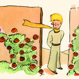 De Jonge Prins met de rozen