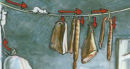 Das Leben einer Hausmaus in der Speisekammer und in dem Keller