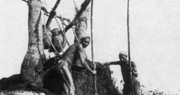 Un chadouf, un appareil traditionnel égyptien servant à soulever de l'eau