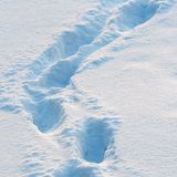 Empreintes de pas dans la neige