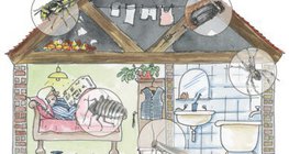 In einem Wohnhaus können auch viele Gliederfüßer vorkommen