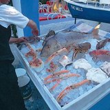 Het is aanbevolen om Griekse vis en schaaldieren te proberen