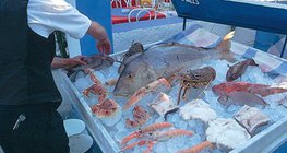 Il est recommandé de goûter aux poissons et fruits de mer grecs.