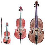 Snaarinstrumenten (viool, cello, contrabas)
