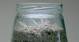 Untersuchungsanlage zur Beobachtung der Regenwürmer